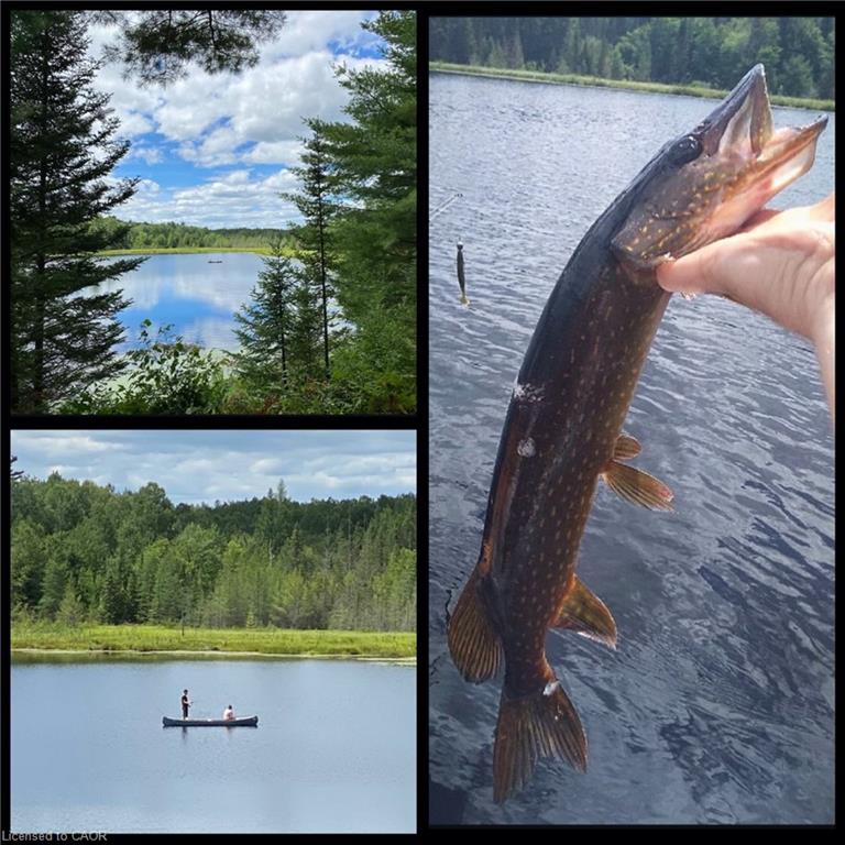 675 Dore Bay Road Road Property Photo 33