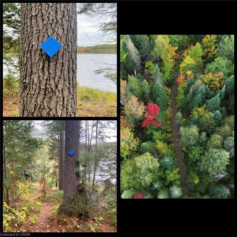 675 Dore Bay Road Road Property Photo 34