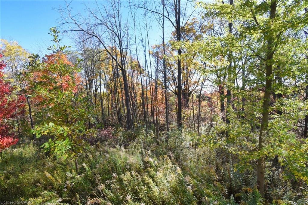 31-40 Hamilton Street S Property Photo 41