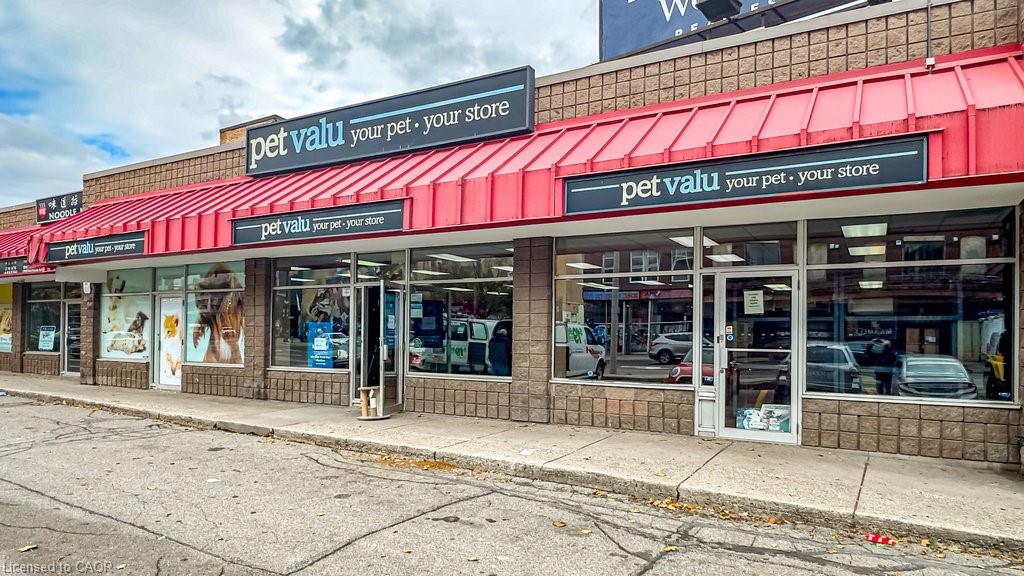 8-1 Wilson Street Property Photo 1