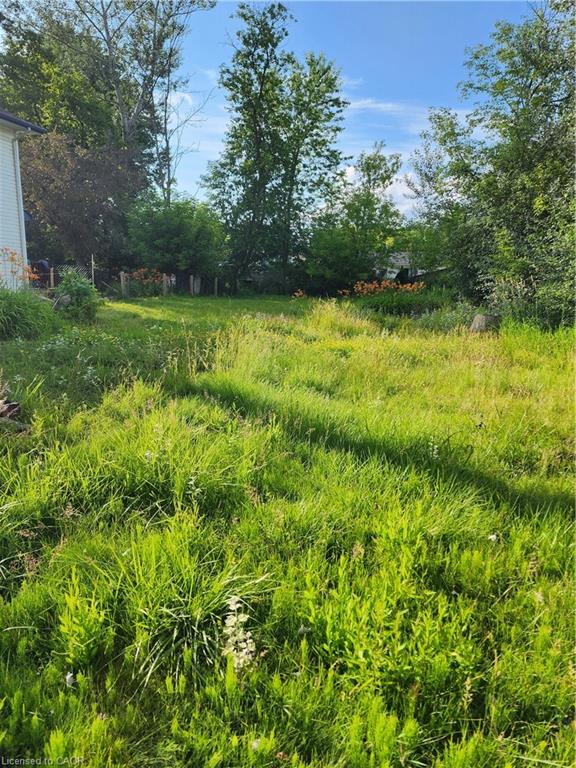 310 Terrace Drive Property Photo 5