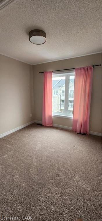 113 Hartley Avenue Property Photo 13