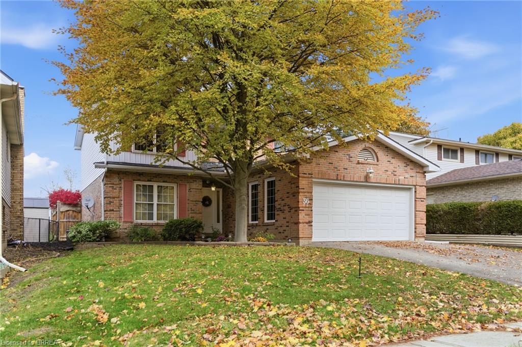 36 Black Locust Way Property Photo 1