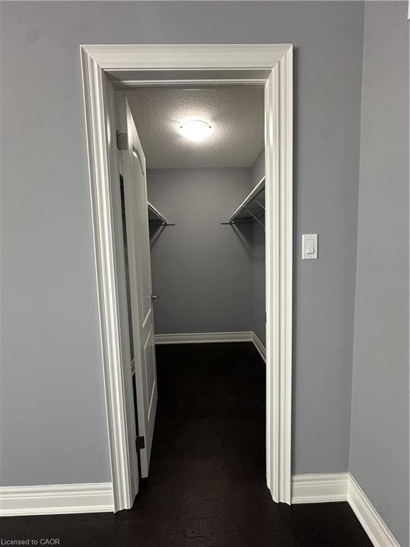 64 Alexsia Street Property Photo 23
