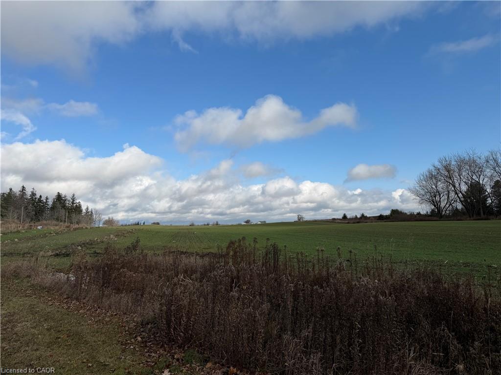 Plan 363 Pt Lot 88 Cobalt Street Property Photo 7