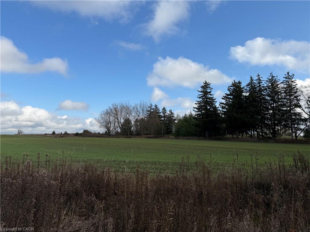Plan 363 Pt Lot 88 Cobalt Street Property Photo 8