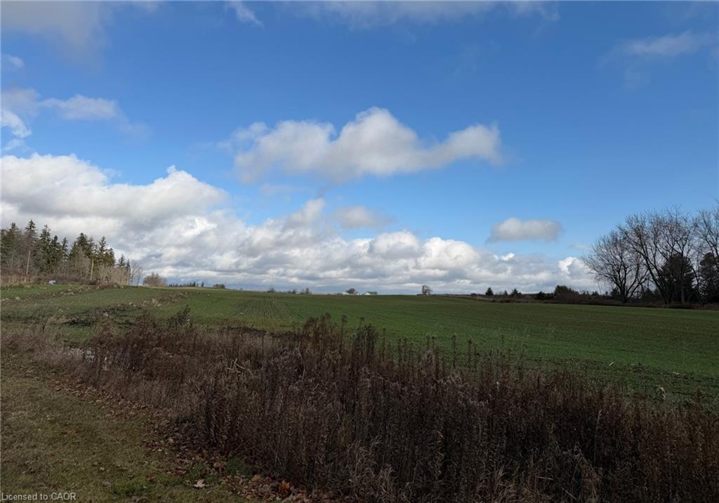 Plan 363 Pt Lot 88 Cobalt Street Property Photo 9