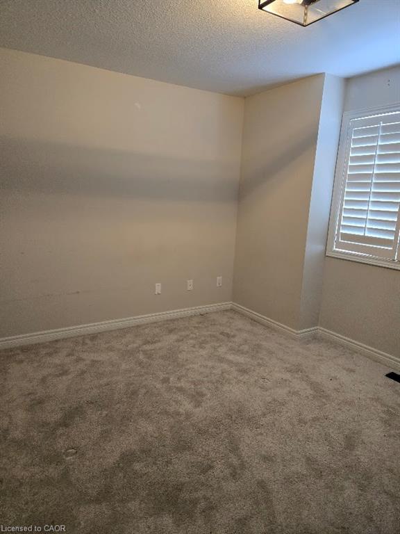 71 Cobblestone Drive Property Photo 24