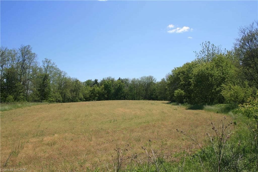 6349a Plank Road Property Photo 3