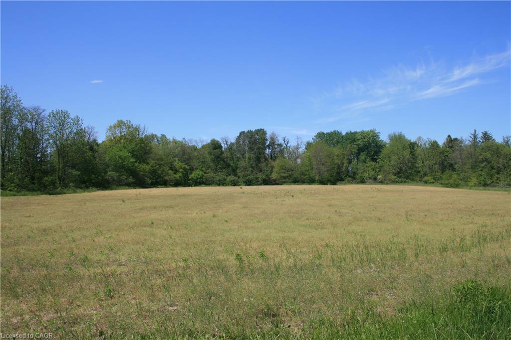 6349a Plank Road Property Photo 4