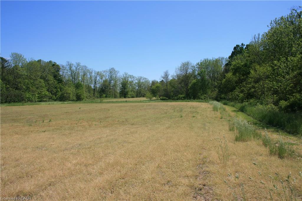 6349a Plank Road Property Photo 5