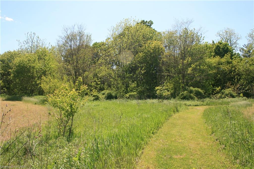 6349a Plank Road Property Photo 6