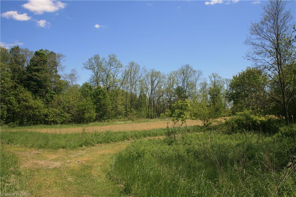 6349a Plank Road Property Photo 7