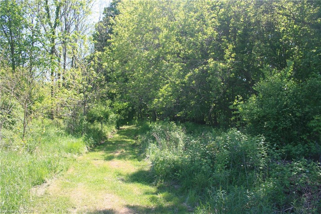6349a Plank Road Property Photo 8