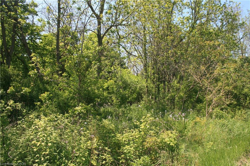 6349a Plank Road Property Photo 9