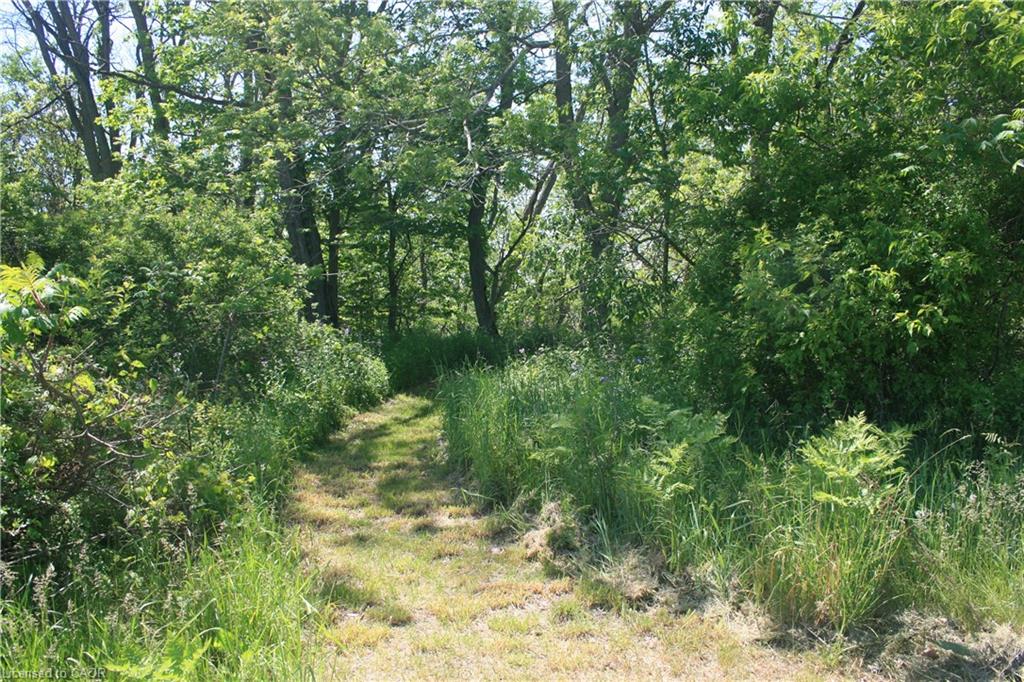 6349a Plank Road Property Photo 10
