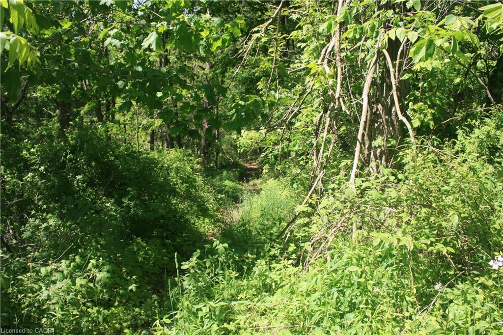 6349a Plank Road Property Photo 11