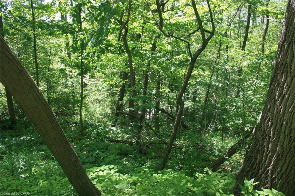 6349a Plank Road Property Photo 12