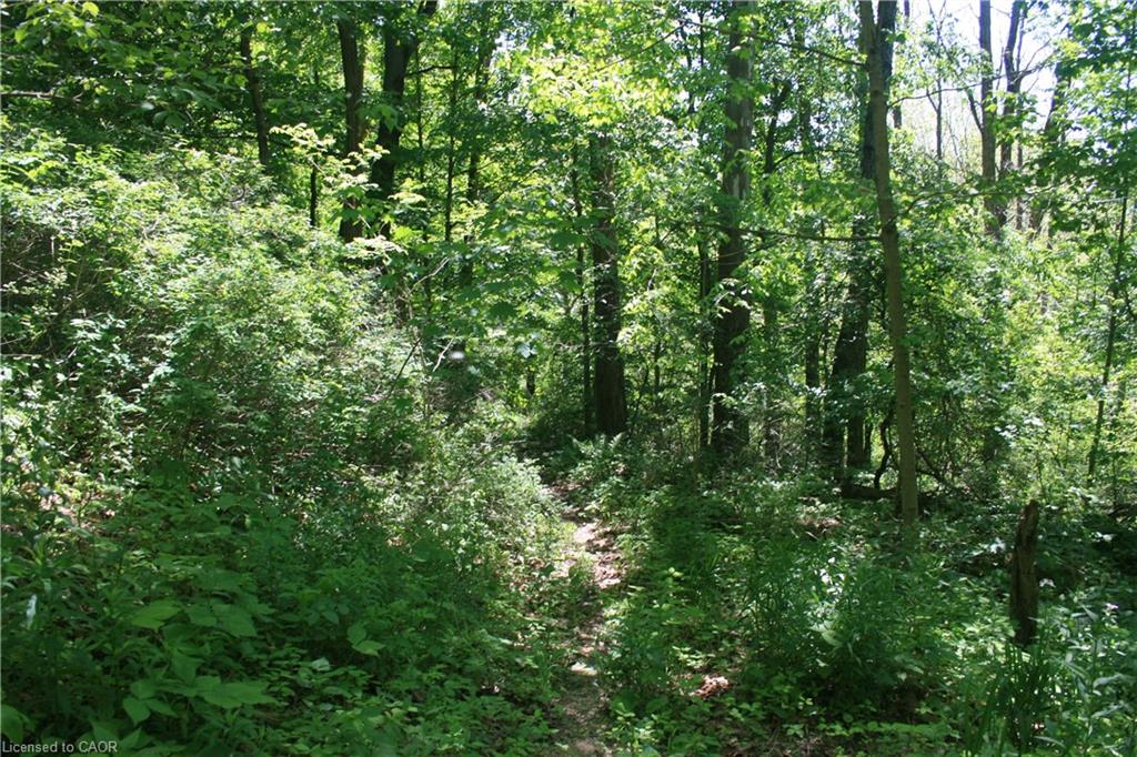 6349a Plank Road Property Photo 13