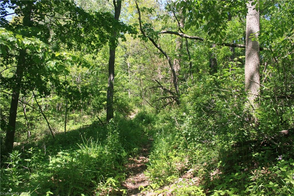 6349a Plank Road Property Photo 14