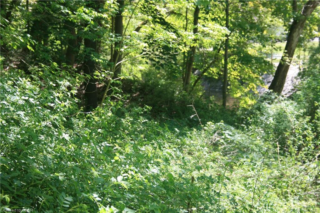 6349a Plank Road Property Photo 15