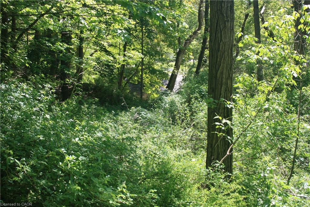 6349a Plank Road Property Photo 16