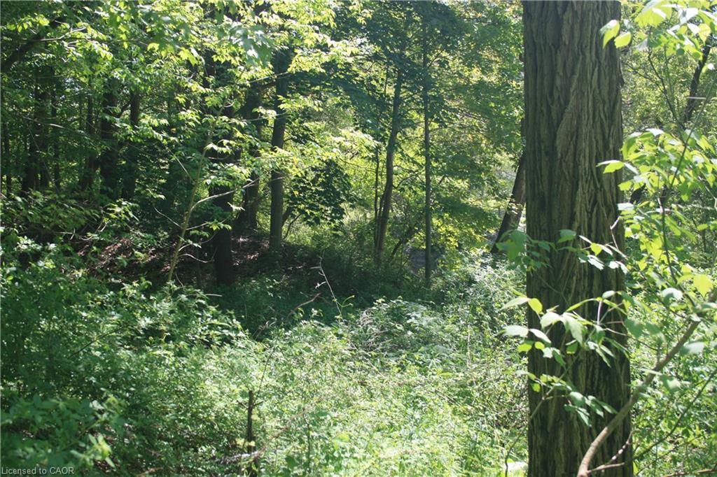 6349a Plank Road Property Photo 17