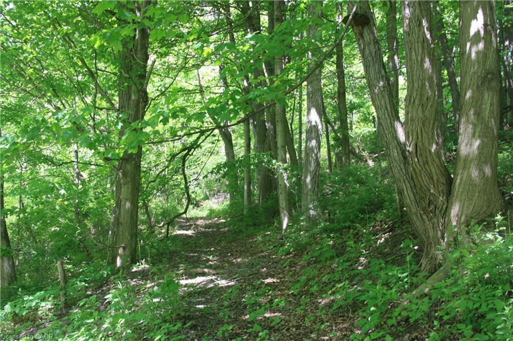 6349a Plank Road Property Photo 18