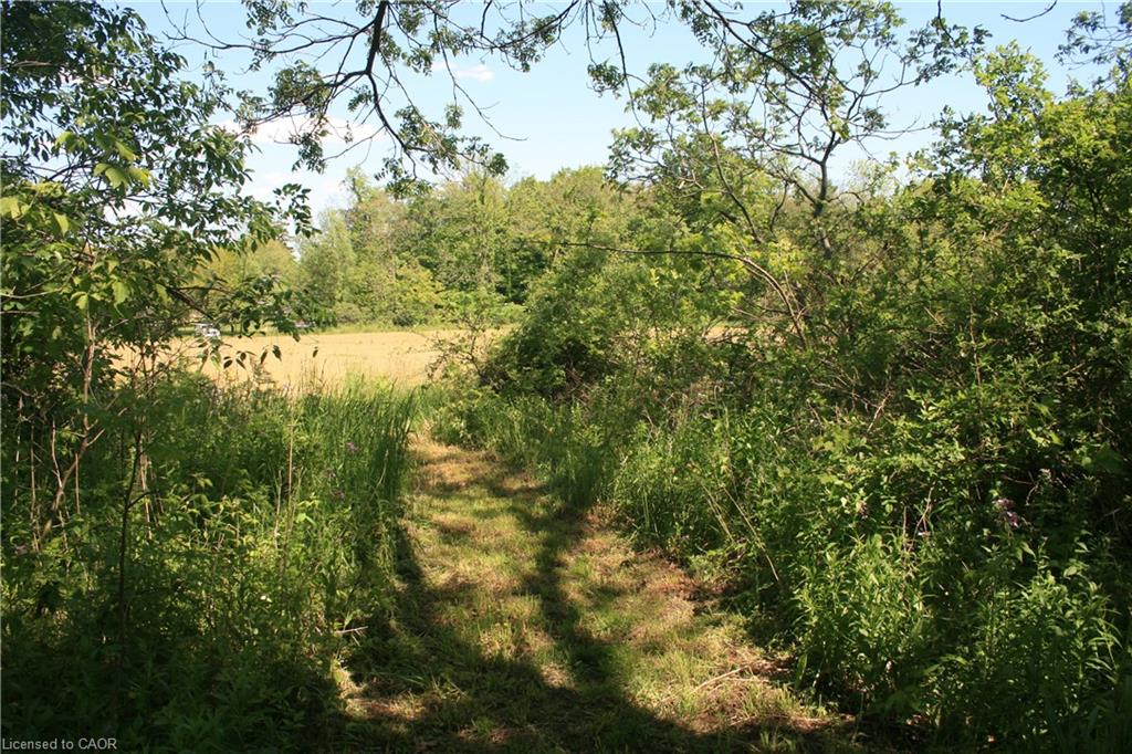 6349a Plank Road Property Photo 19