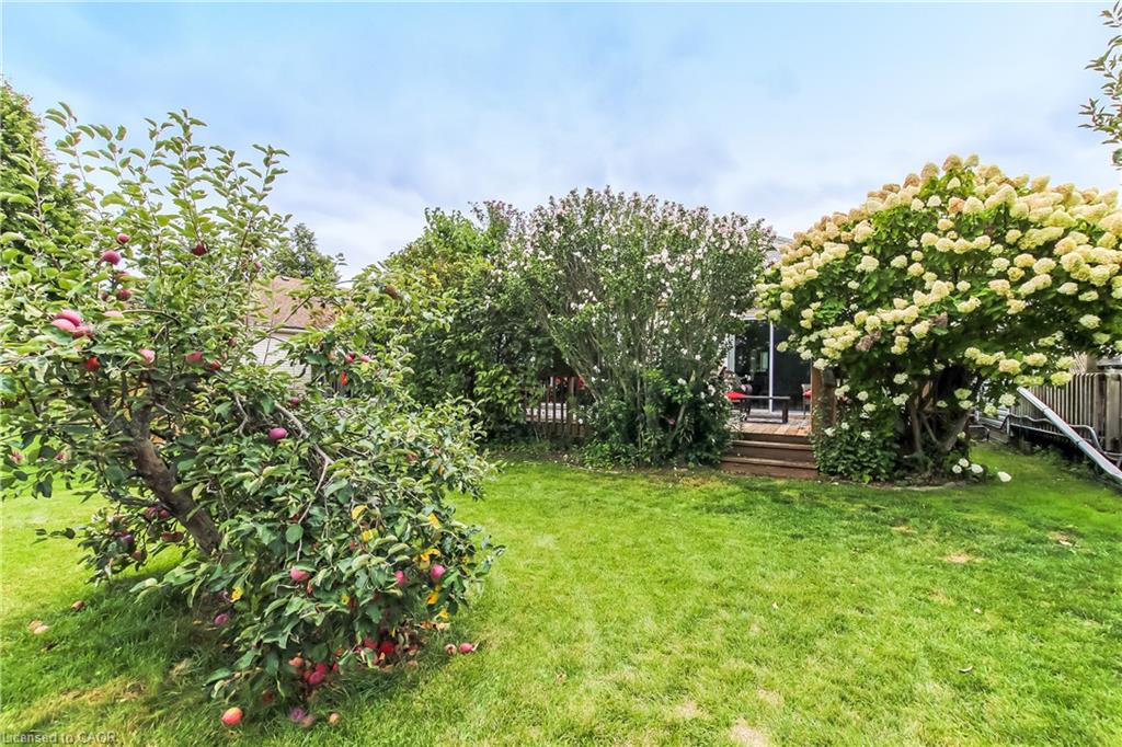 5 Walsingham Drive Property Photo 19