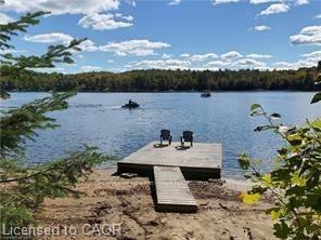 5803 Haliburton Lake Road Property Photo 8