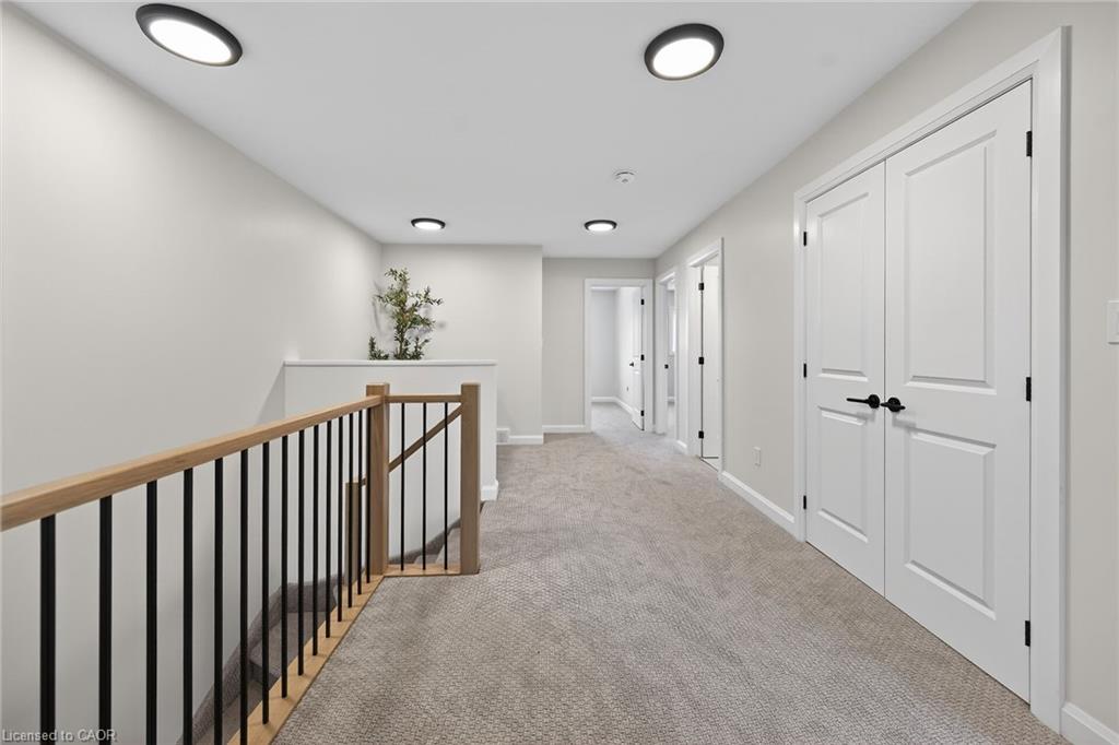 45b Howard Street Property Photo 28