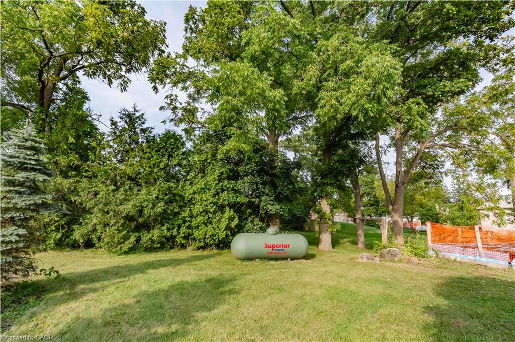 721 Hwy 54 Property Photo 4