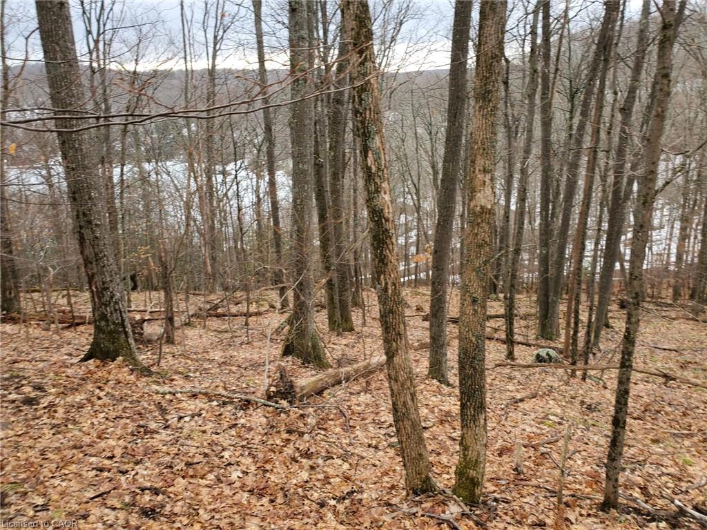 0 Echo Bay Road Property Photo 5