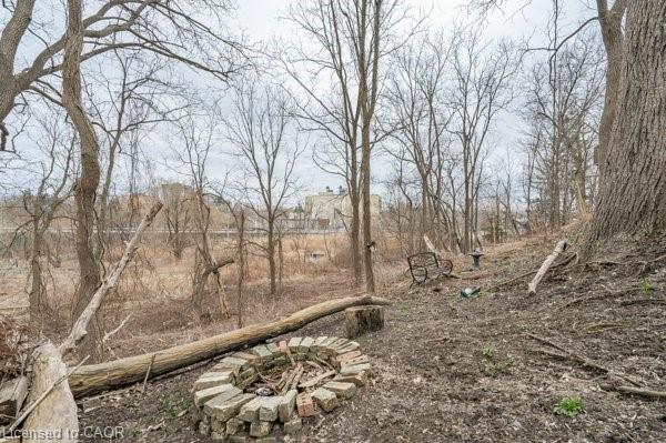 163 Fountain Street N Property Photo 4