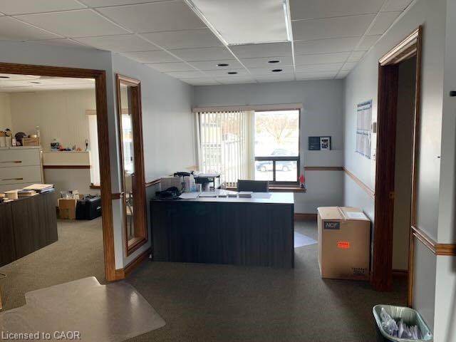 177 Scott Street Property Photo 23