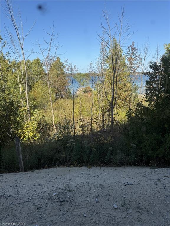 147 Wilson Drive Property Photo 1