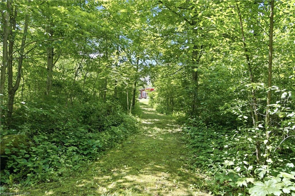 484 Concession 11 Road E Property Photo 47