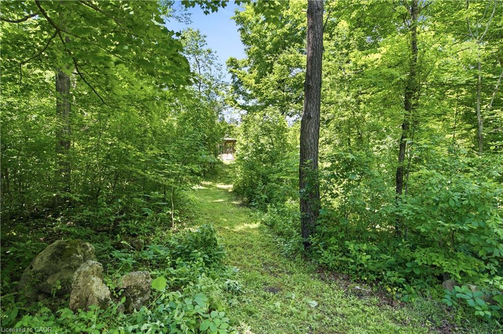 484 Concession 11 Road E Property Photo 48