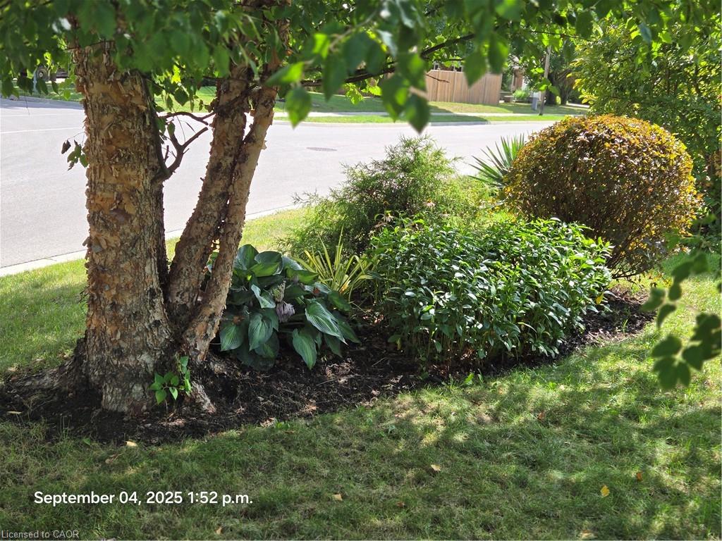 27 Hepburn Avenue Property Photo 35