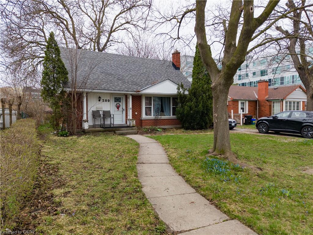289 Albert Street Property Photo 1