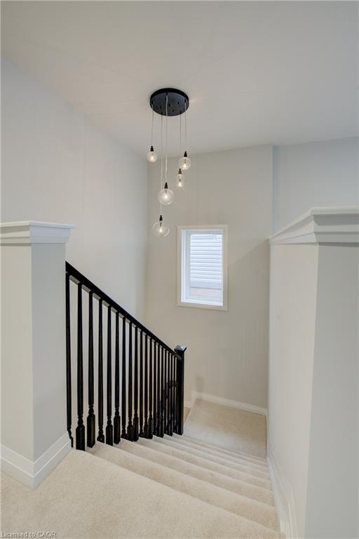 36 Alicia Crescent Property Photo 28