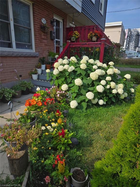 10 Armstrong Avenue Property Photo 3