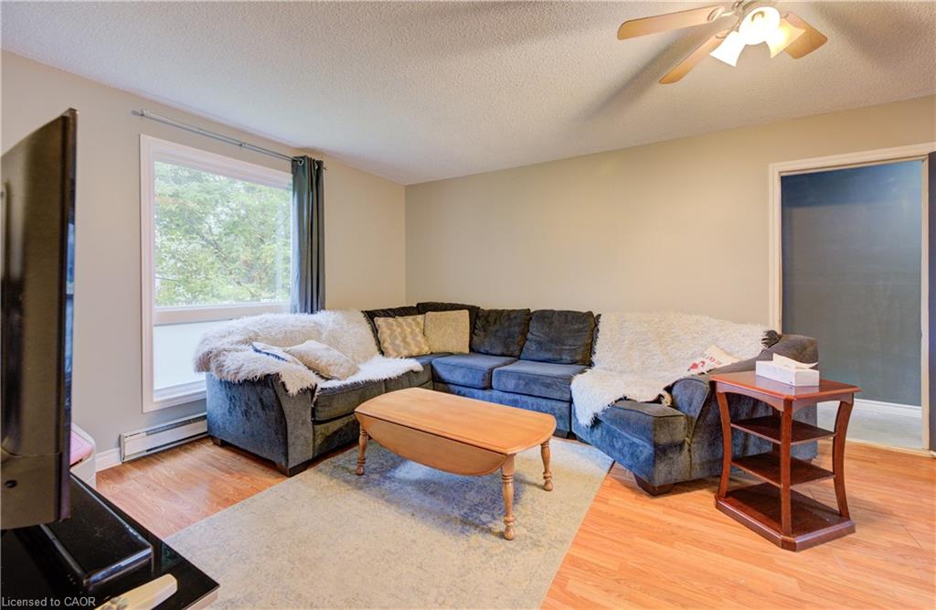3 Page Street Property Photo 14