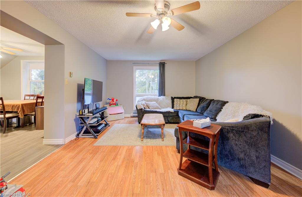 3 Page Street Property Photo 16