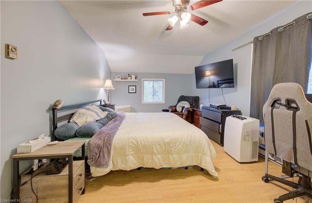 3 Page Street Property Photo 26