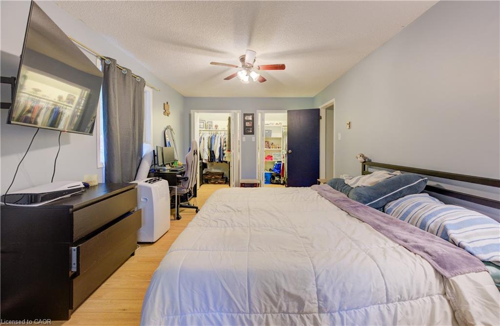 3 Page Street Property Photo 27
