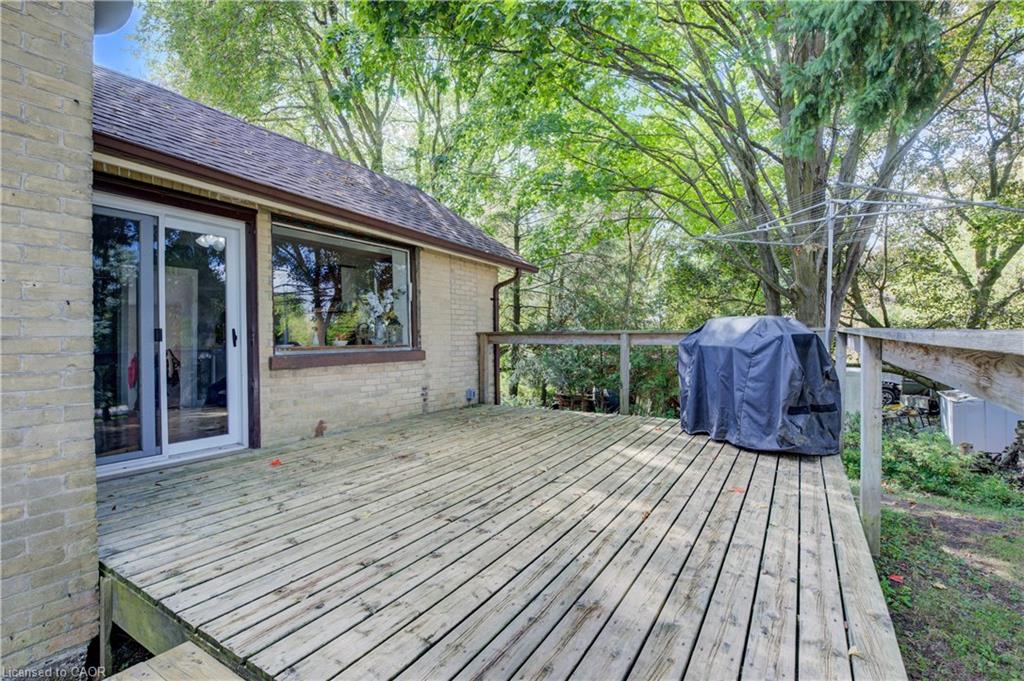3 Page Street Property Photo 33