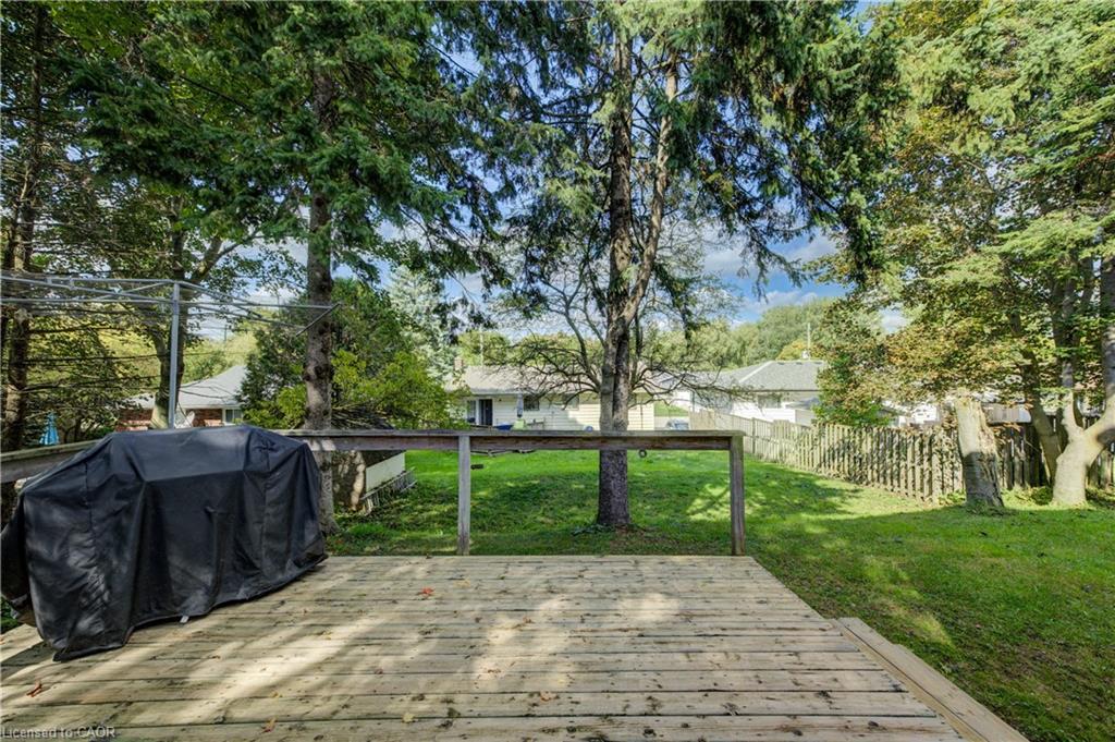 3 Page Street Property Photo 34