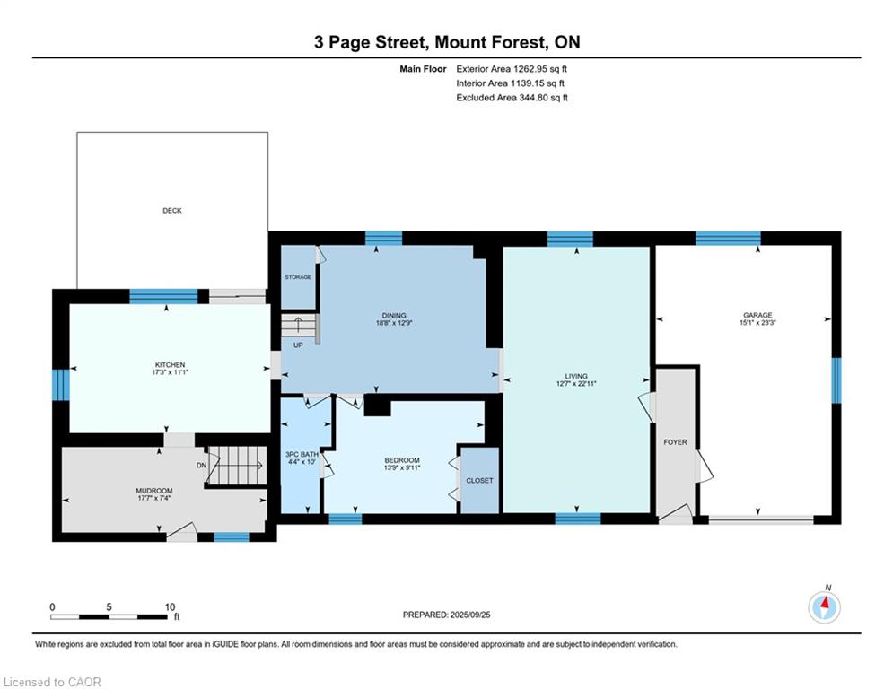 3 Page Street Property Photo 41